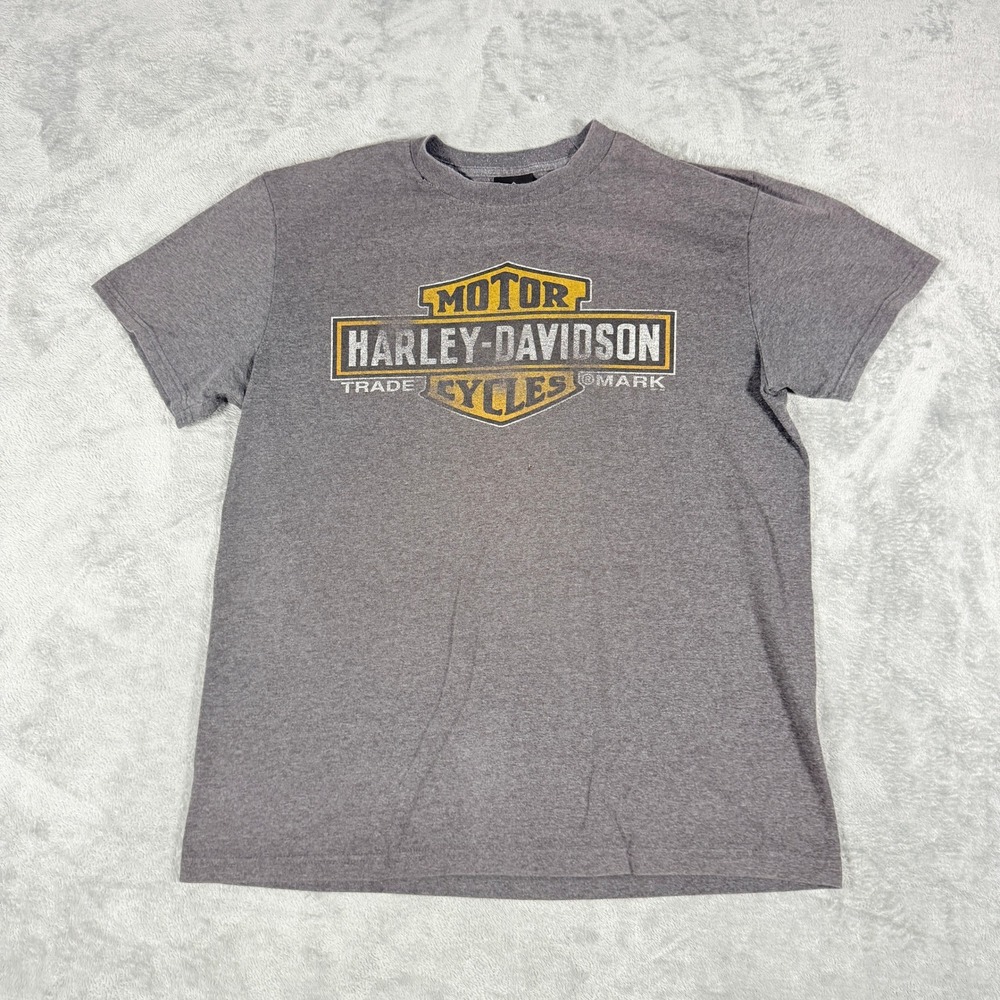 Harley-Davidson Mens Large T-Shirt Gray Manatee River Bradenton FL Graphic 2011